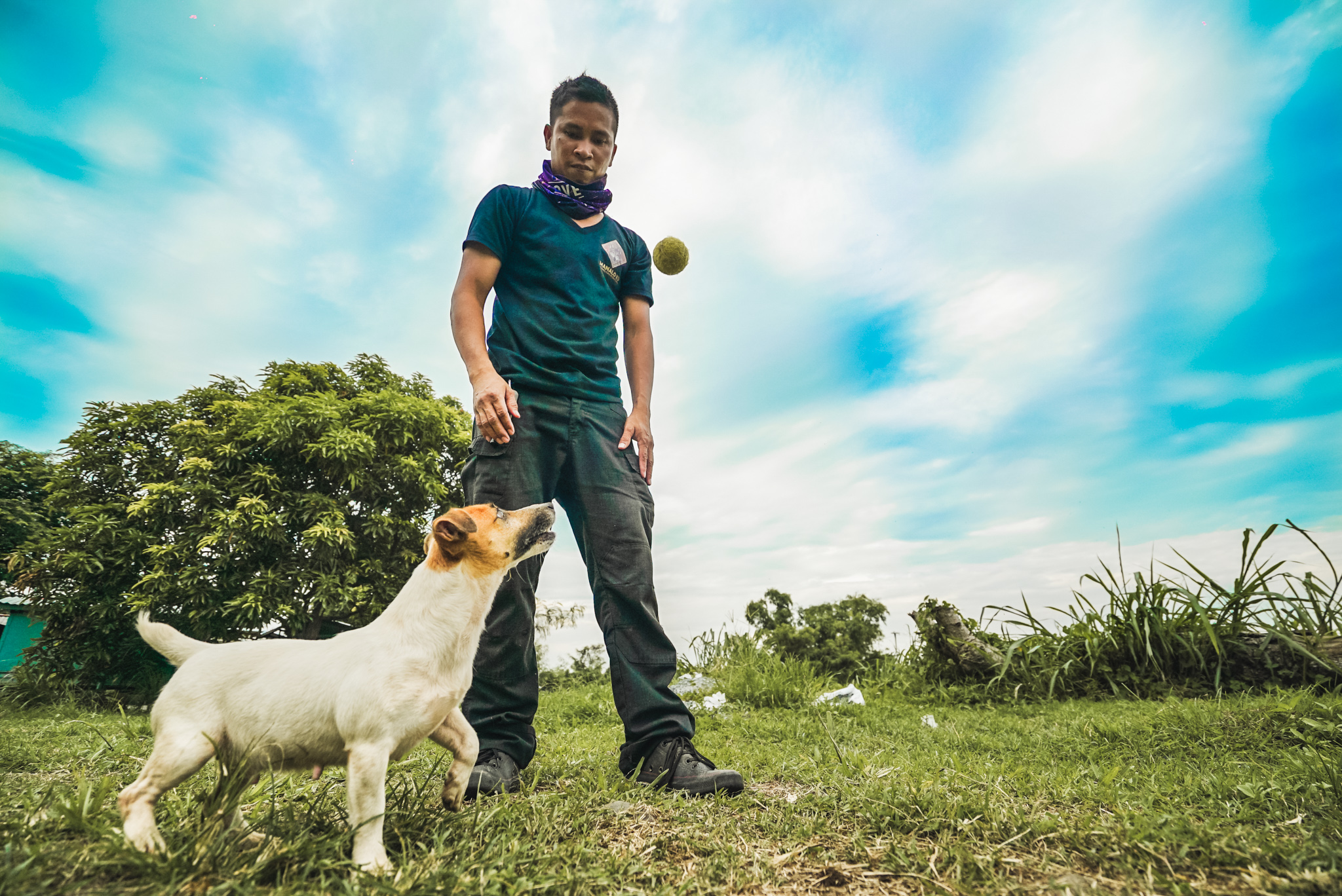 OL1 Foundation Obedience